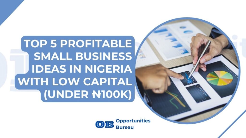 business ideas in nigeria